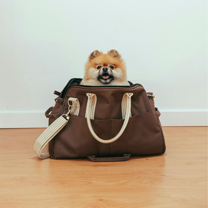 pet bag 02